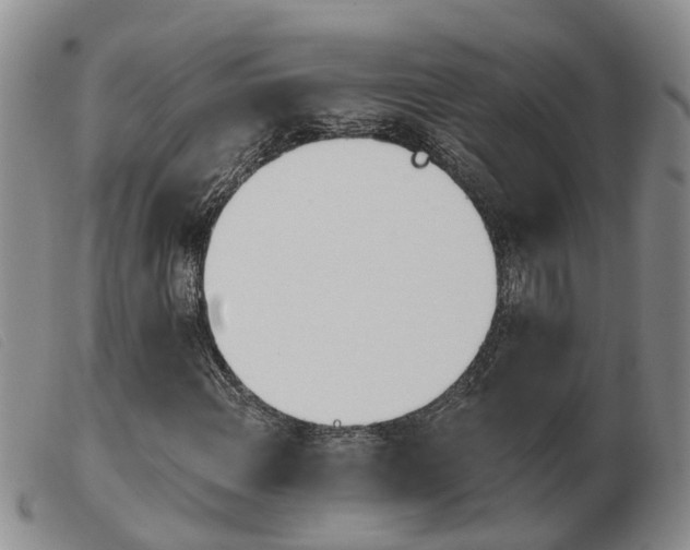 X0000103931108200809191116