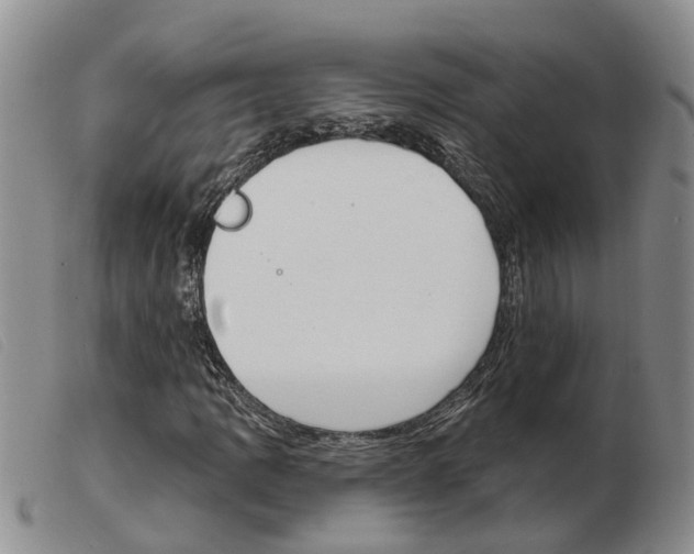 X0000103931109200809191116
