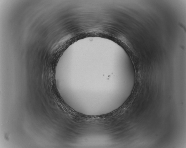 X0000103931111200809191116