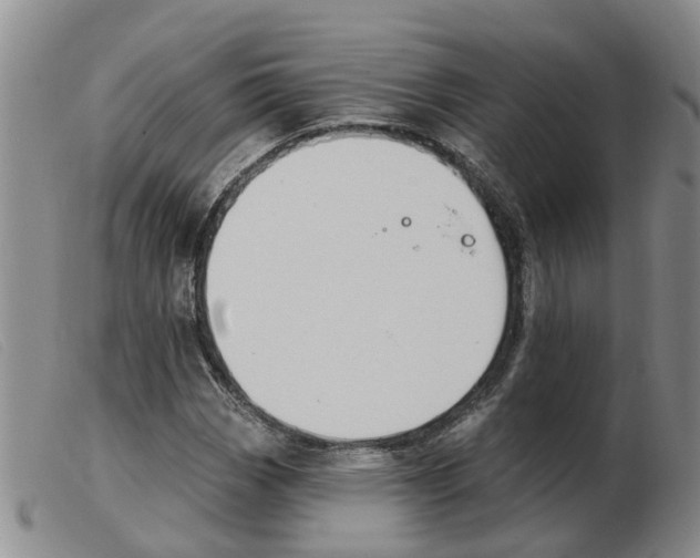 X0000103931113200809191116