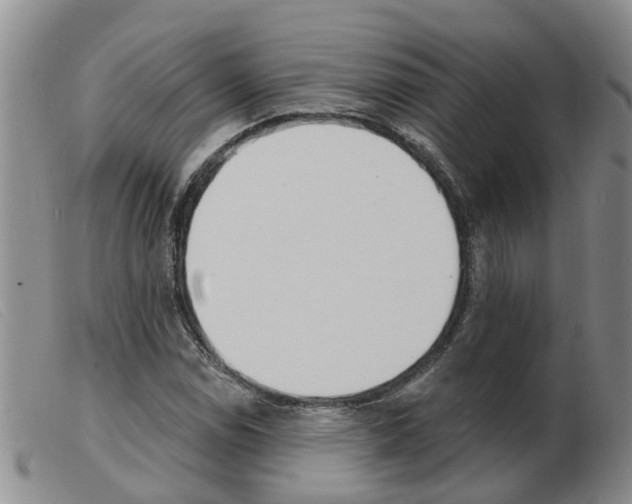 X0000103931114200809191116