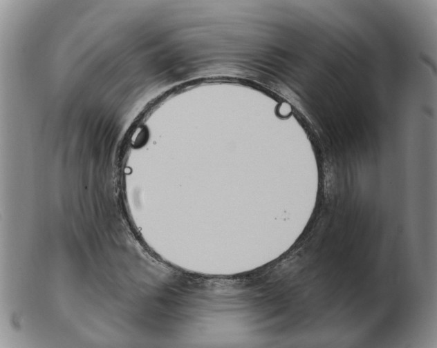 X0000103931116200809191117
