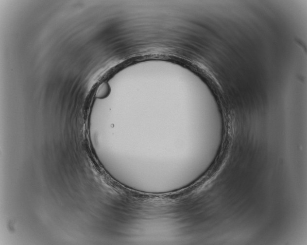 X0000103931117200809191117