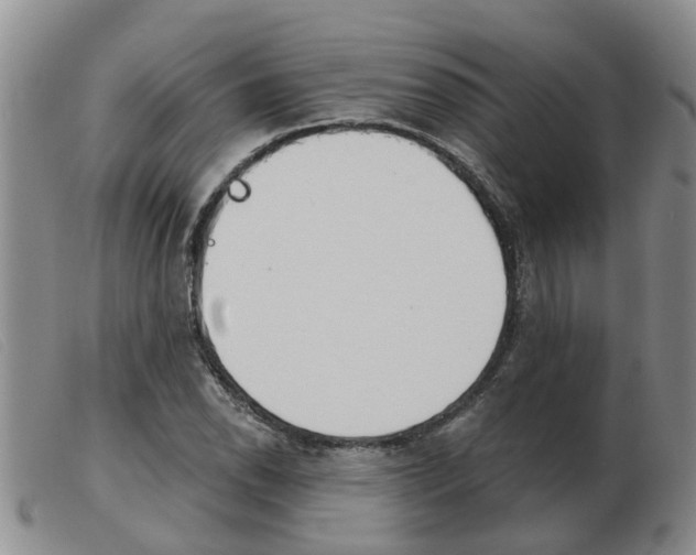 X0000103931118200809191117