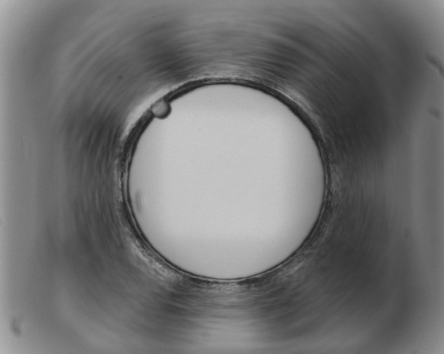 X0000103931120200809191117