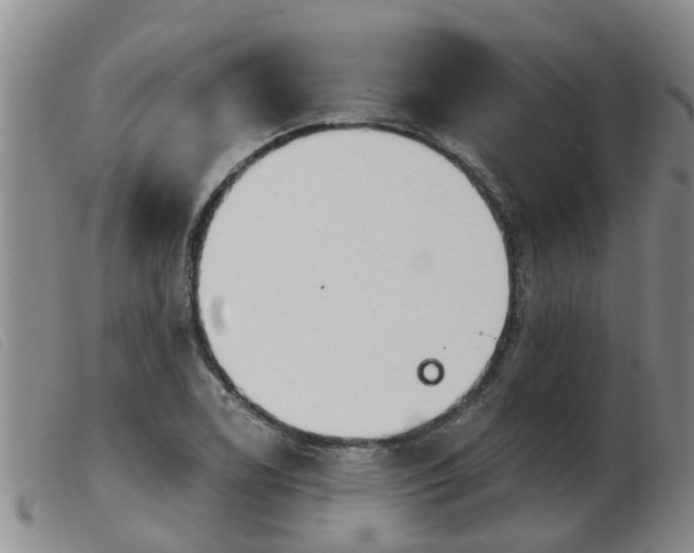 X0000103931122200809191117