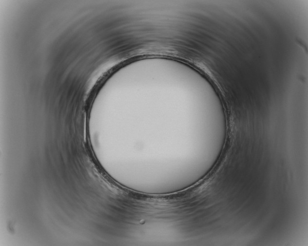 X0000103931123200809191117