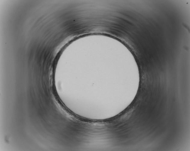 X0000103931126200809191117