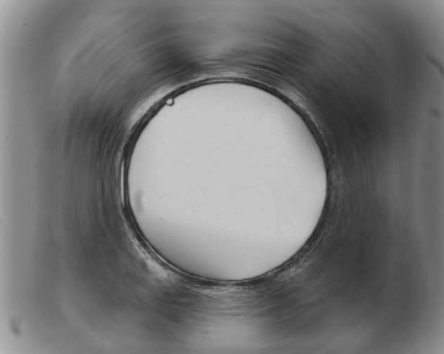 X0000103931127200809191117