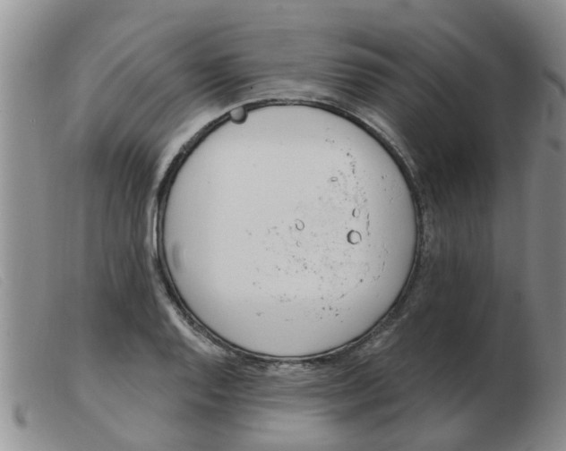 X0000103931128200809191117