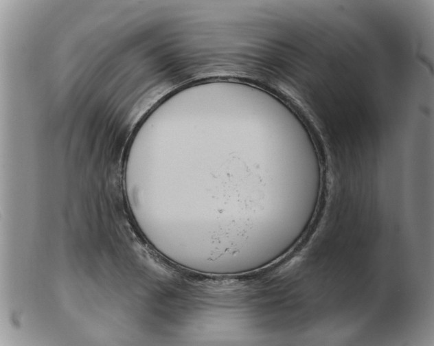 X0000103931129200809191117