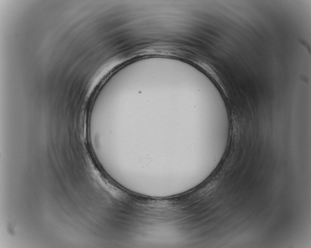 X0000103931131200809191117