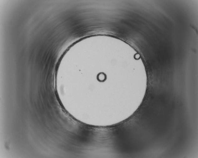 X0000103931132200809191117