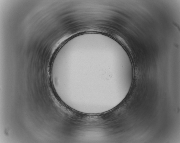 X0000103931133200809191117