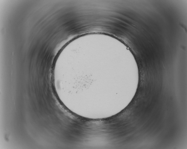 X0000103931134200809191117
