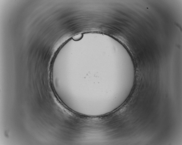 X0000103931135200809191117