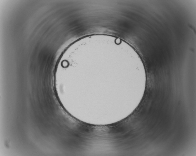 X0000103931136200809191117