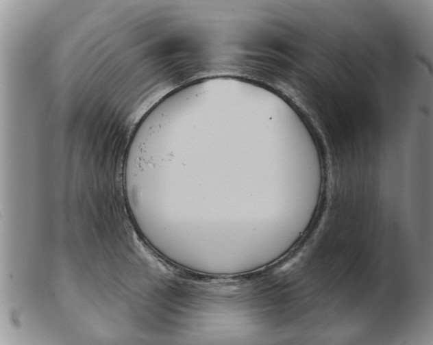 X0000103931137200809191117
