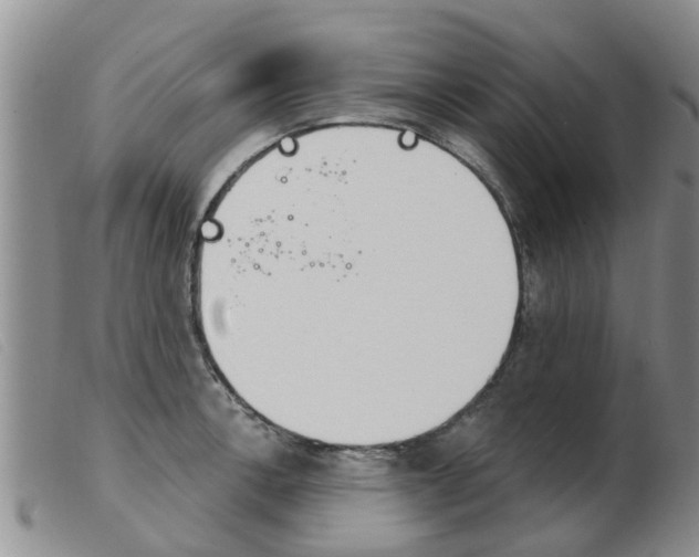X0000103931138200809191117