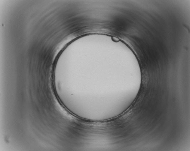 X0000103931139200809191117