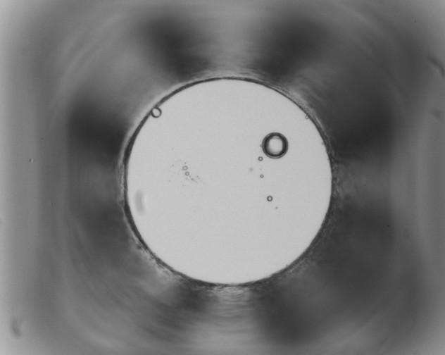 X0000103931140200809191117