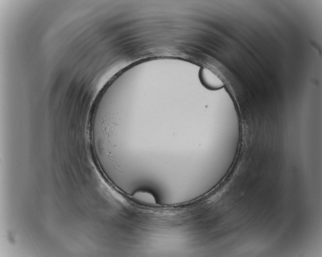 X0000103931141200809191117