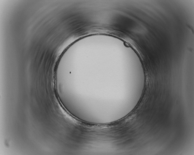 X0000103931143200809191117