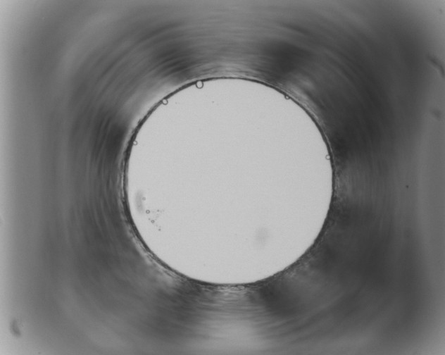 X0000103931144200809191117