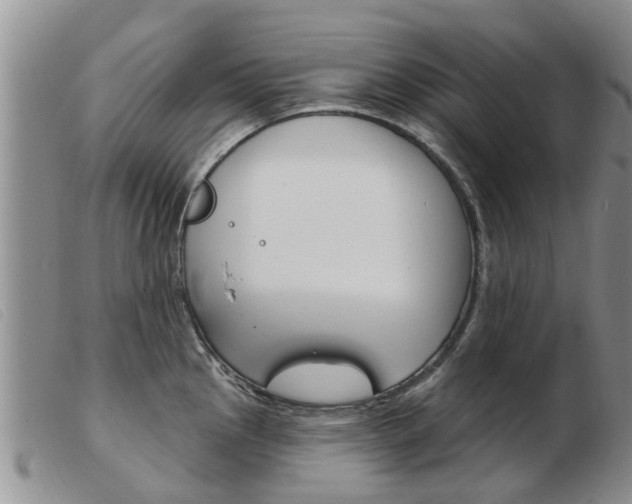X0000103931145200809191117