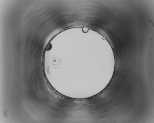 X0000103931146200809191117
