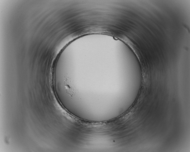 X0000103931147200809191117