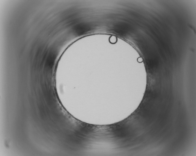 X0000103931148200809191117