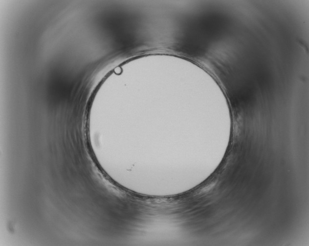 X0000103931149200809191117