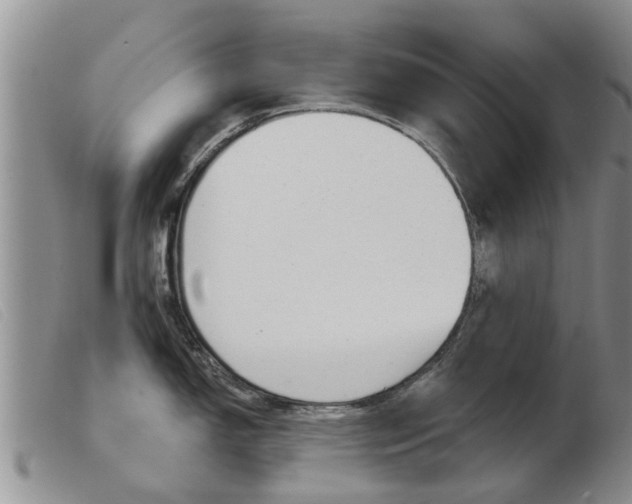X0000103931150200809191117
