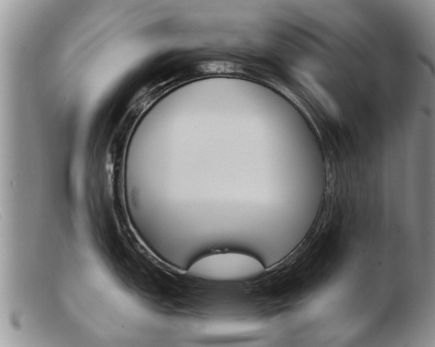 X0000103931151200809191117