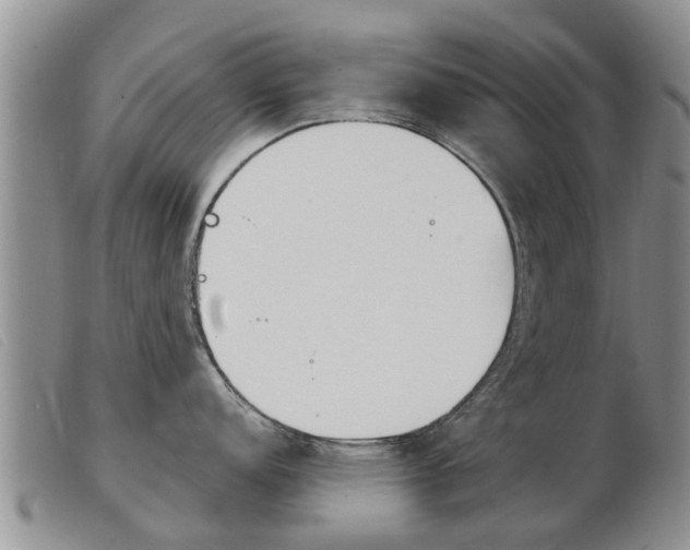 X0000103931152200809191117