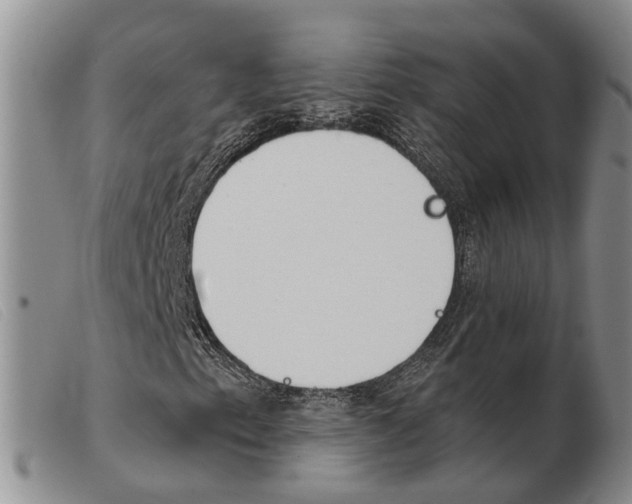 X0000103931153200809191116