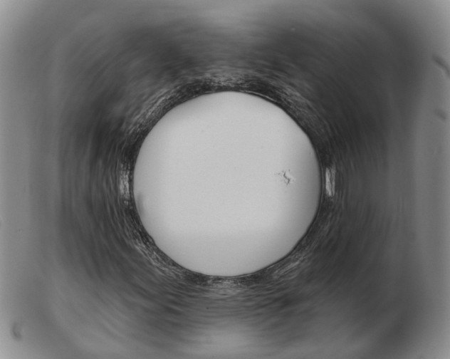 X0000103931155200809191116