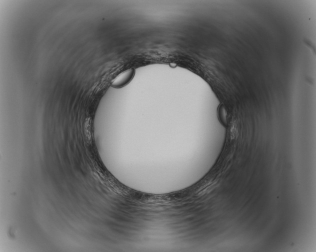 X0000103931156200809191116
