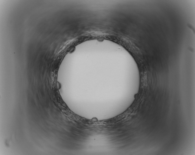 X0000103931157200809191116