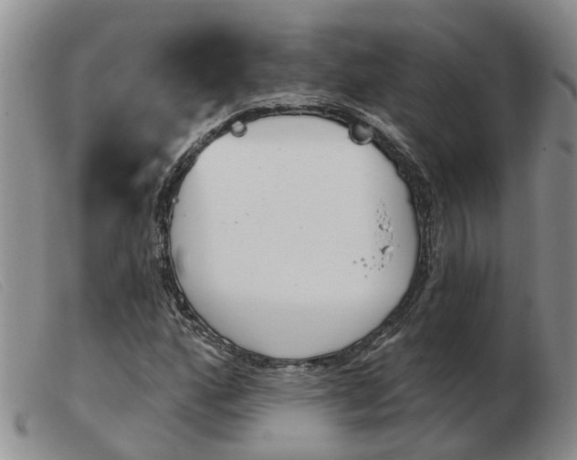 X0000103931160200809191116