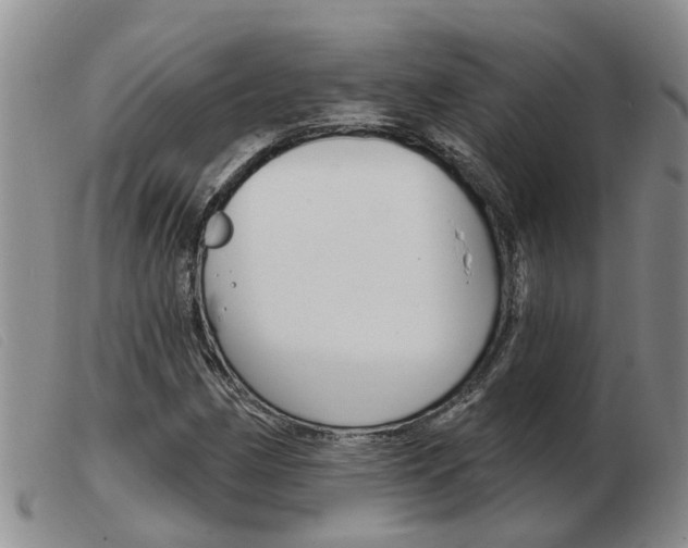 X0000103931162200809191116