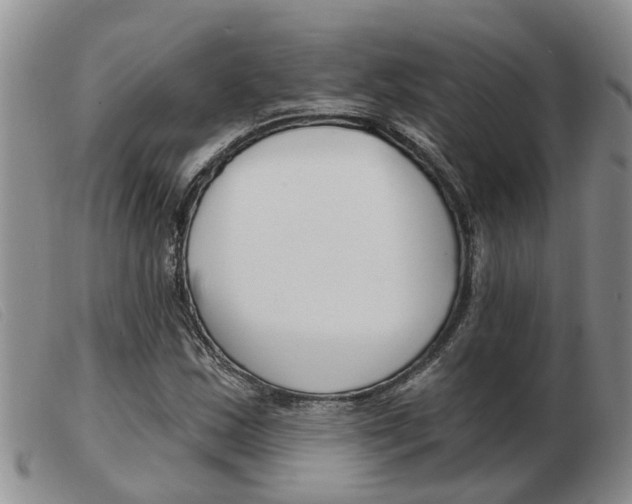 X0000103931163200809191116