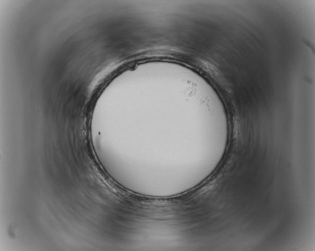 X0000103931164200809191116