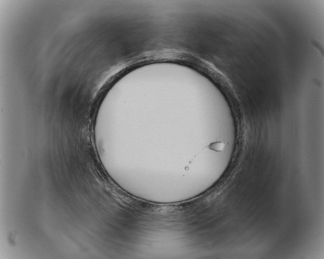 X0000103931166200809191116