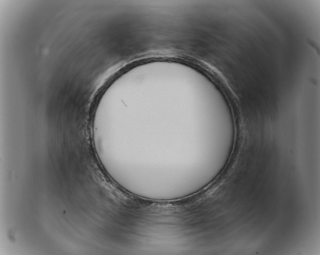 X0000103931168200809191116