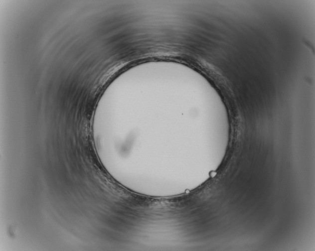 X0000103931169200809191116