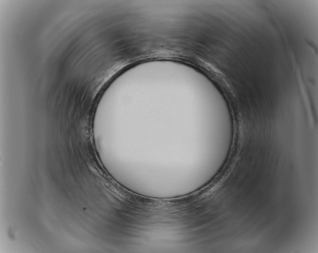 X0000103931170200809191116