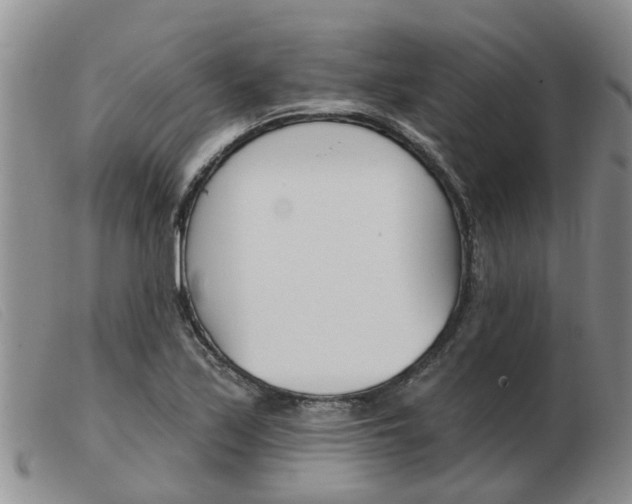 X0000103931171200809191116