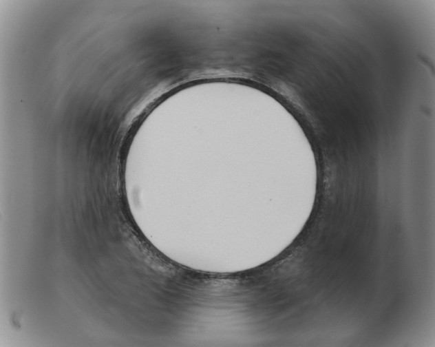 X0000103931173200809191116
